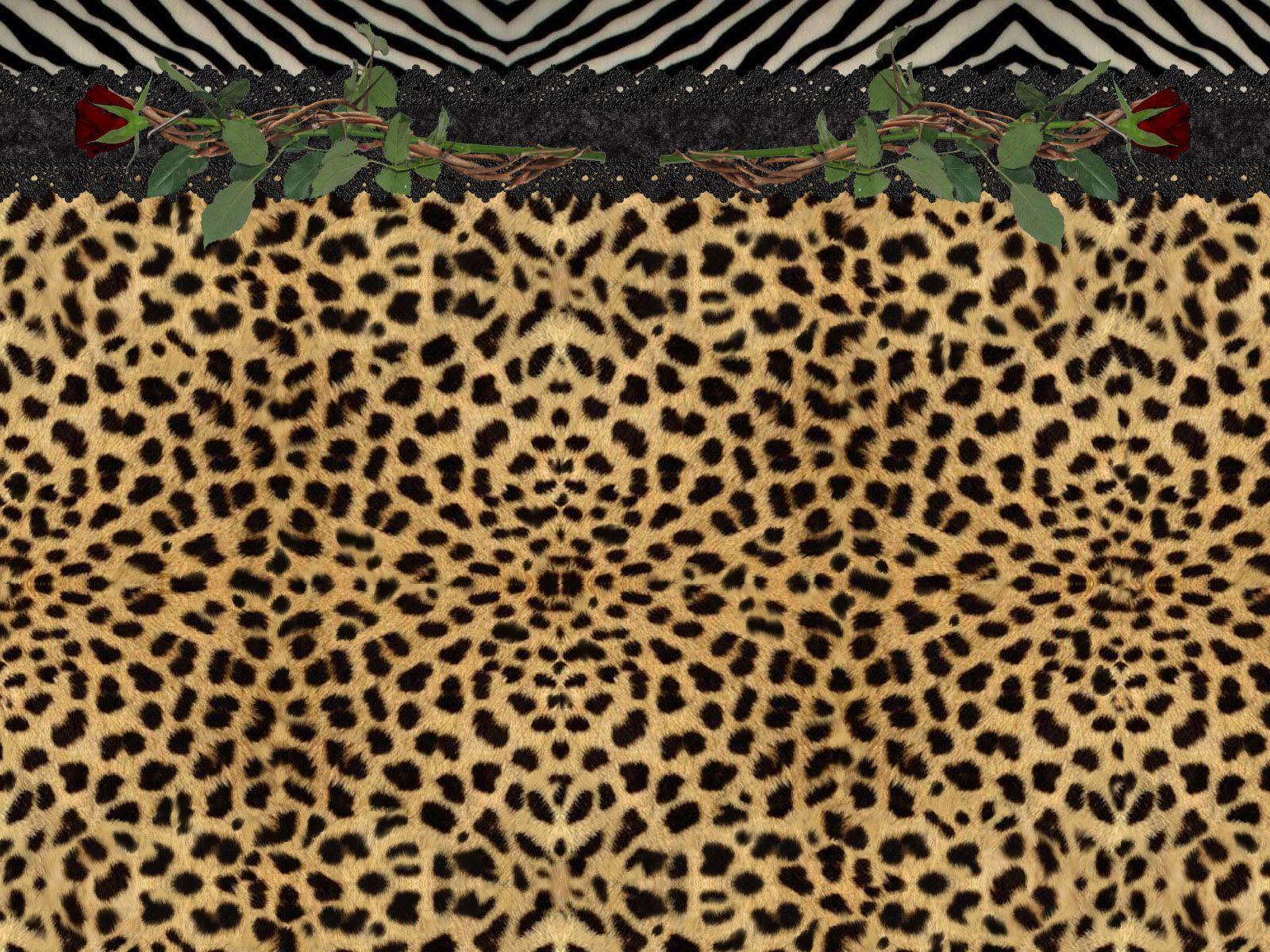 Cheetah Backgrounds Image