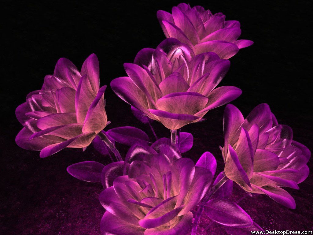 Desktop Wallpaper 3d Background Roses Violet