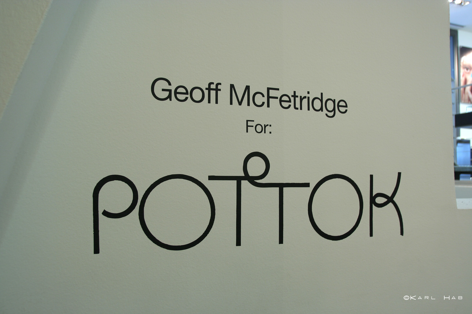 Pottok Wallpaper By Geoff Mcfetridge At Colette Mcfe