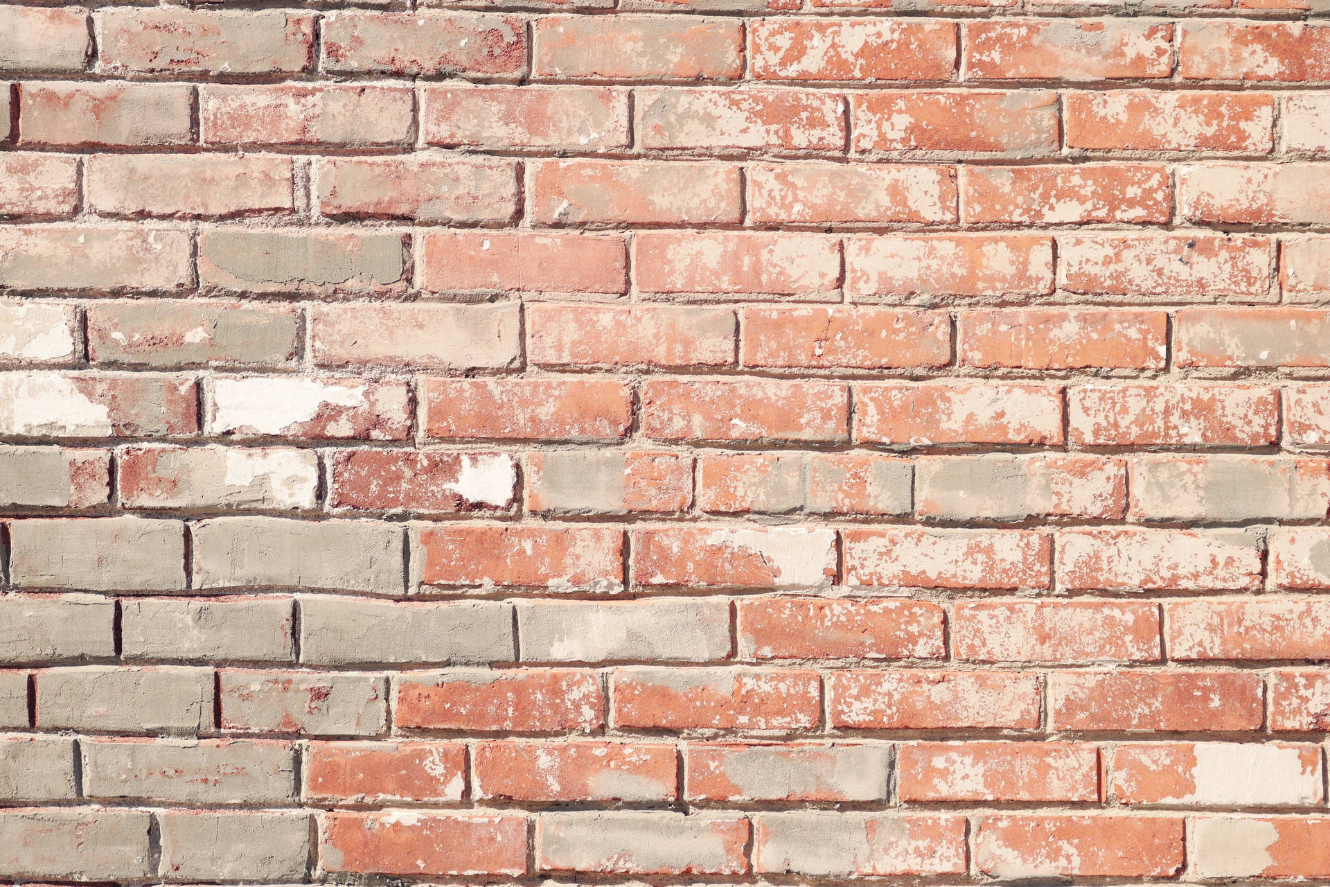 Brick Texture Wallpaper