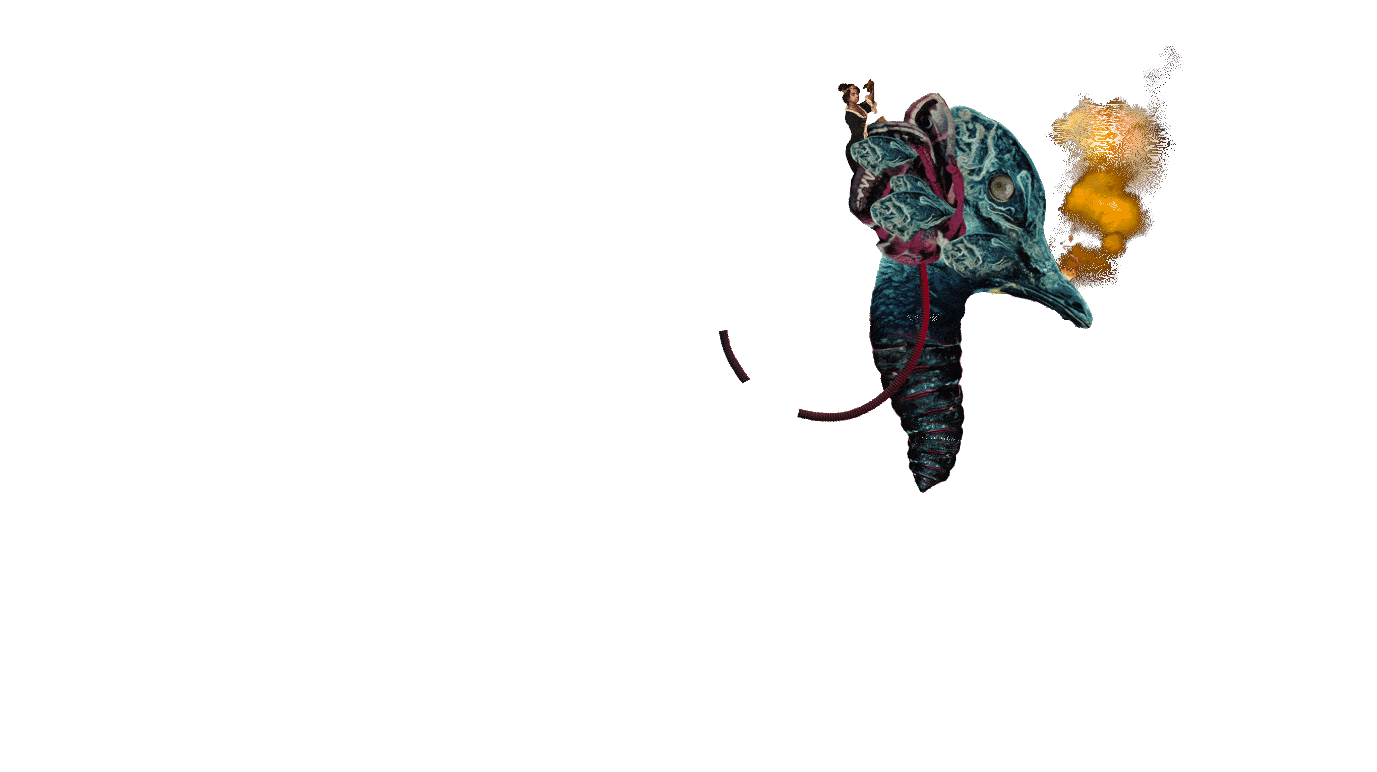 Flying Lotus Official Website F L A M G R The New Album