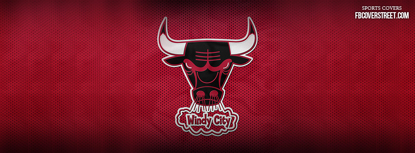 Chicago Bulls Windy City Logo Tyson Chandler