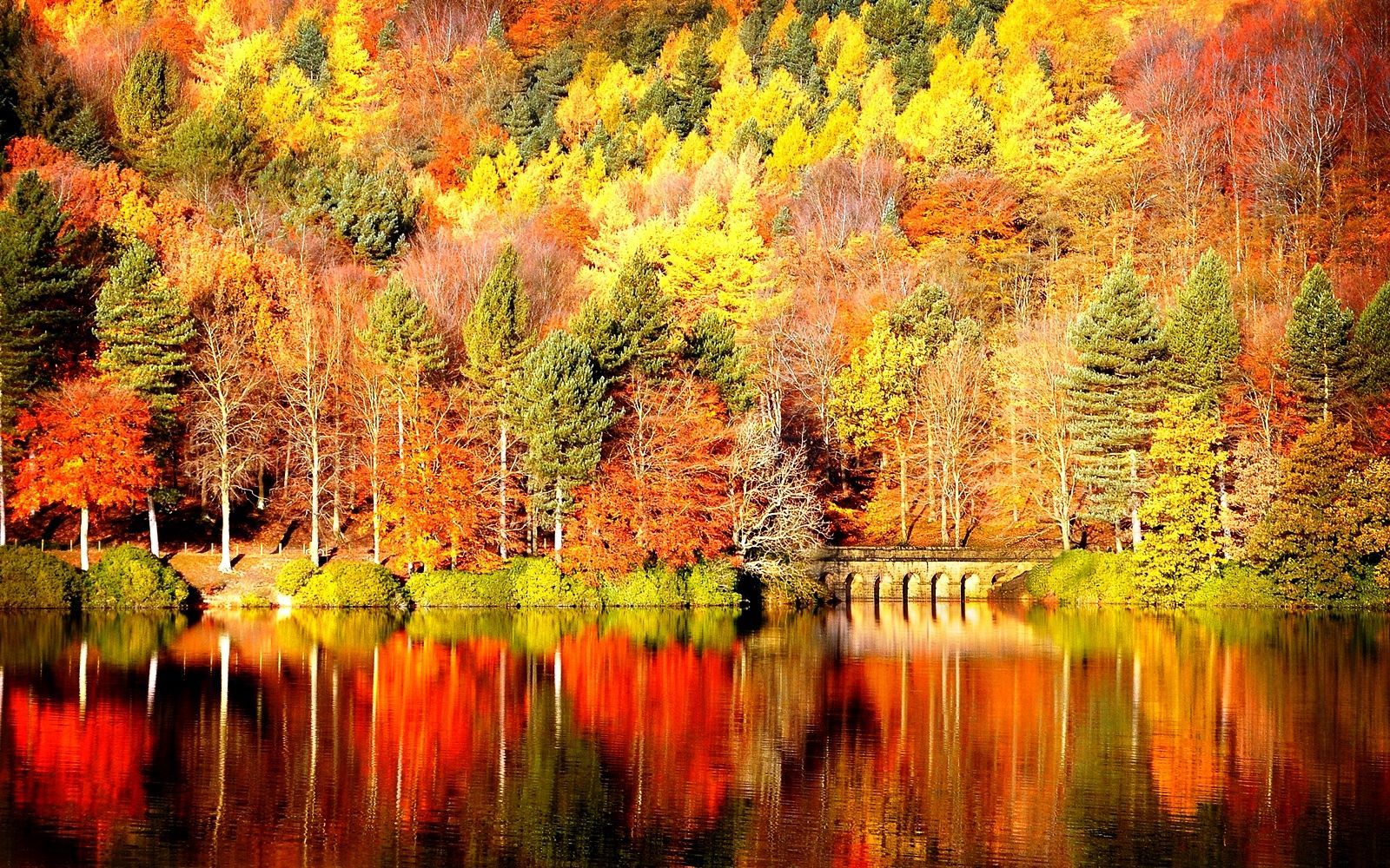Autumn Desktop Wallpaper Background Sf