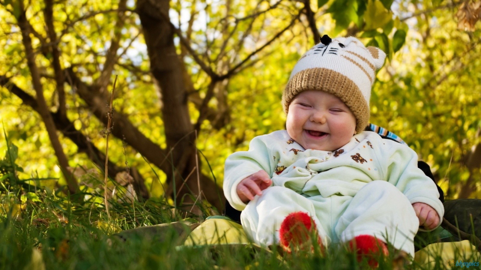 Smiling Cute Baby Boy Behind The Forest HD Wallpaper Little