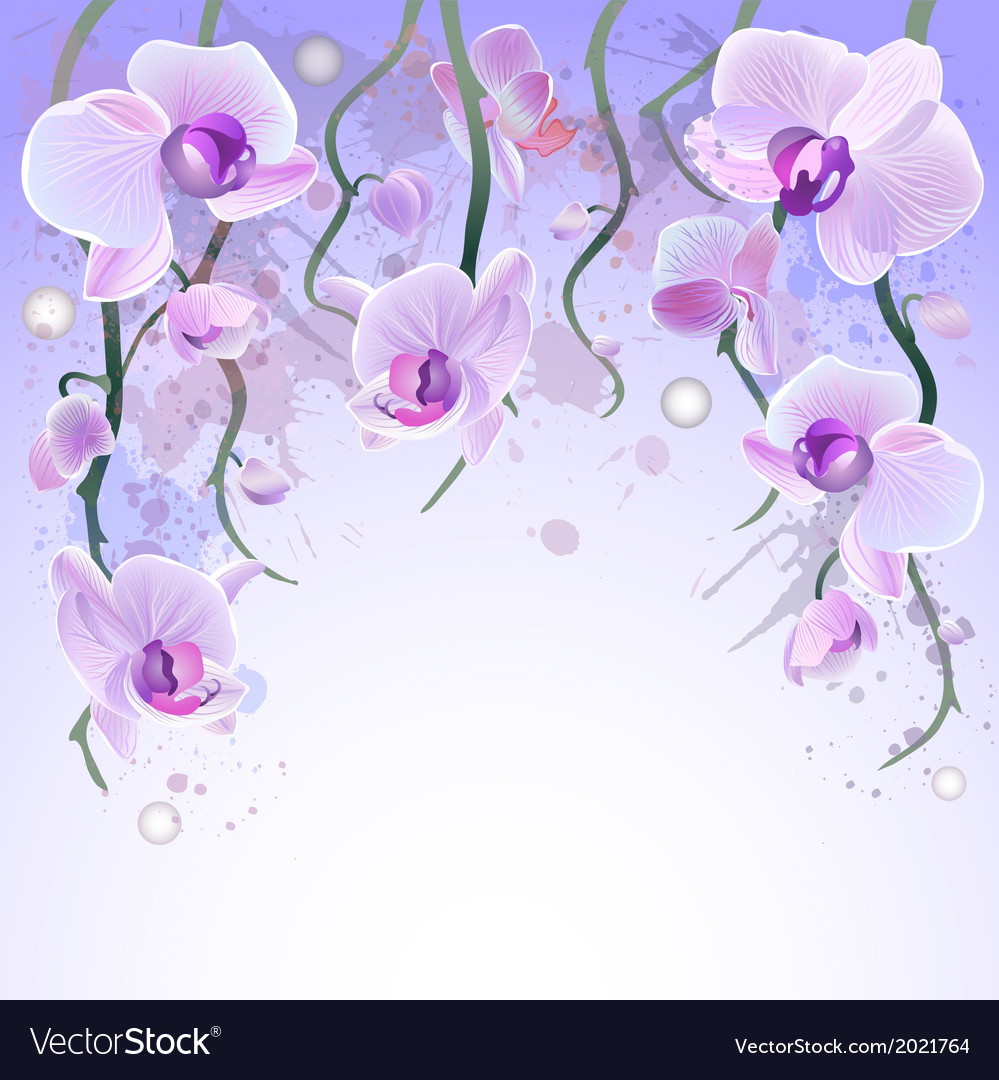Watercolor Background With Orchids Royalty Vector Image
