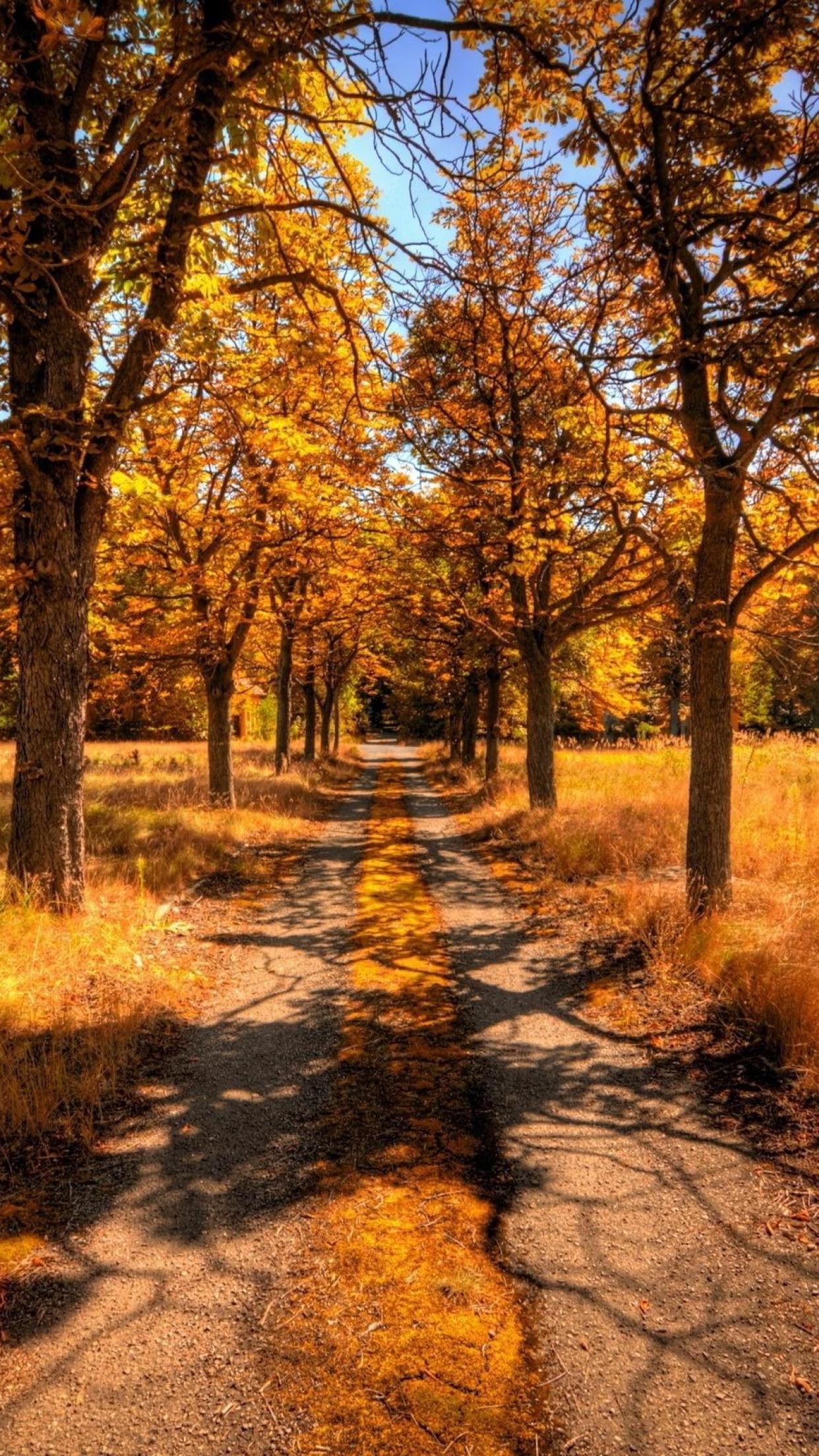 iPhone Autumn Wallpaper