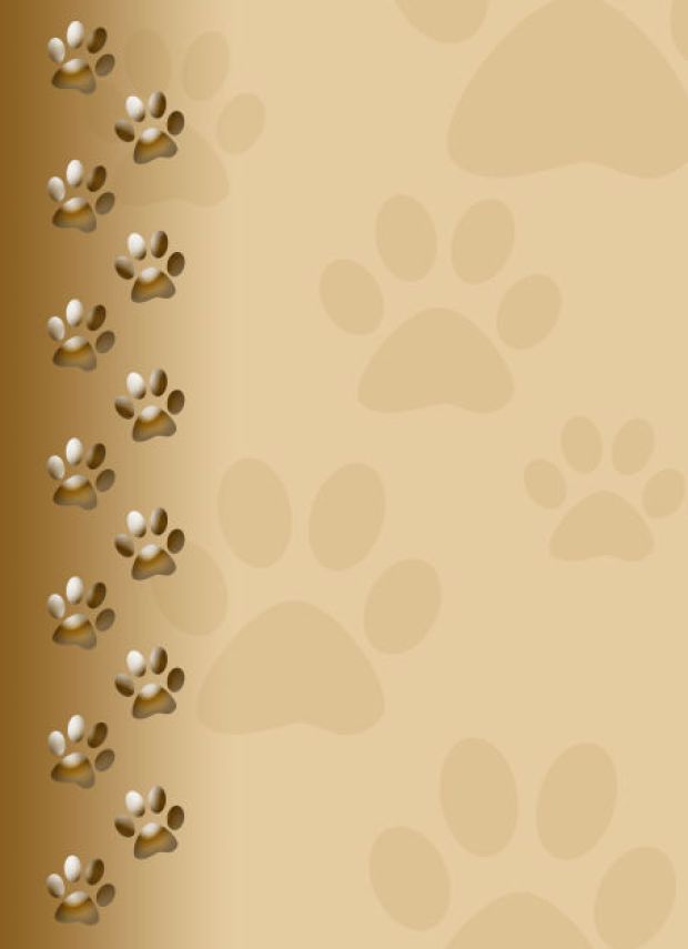 Puppy Paw Print Wallpaper Background