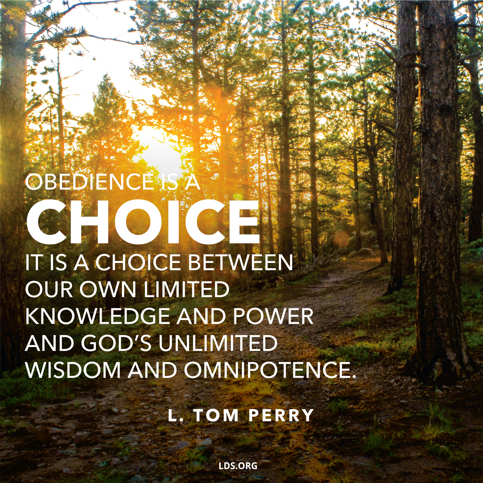 Obedience Is A Choice