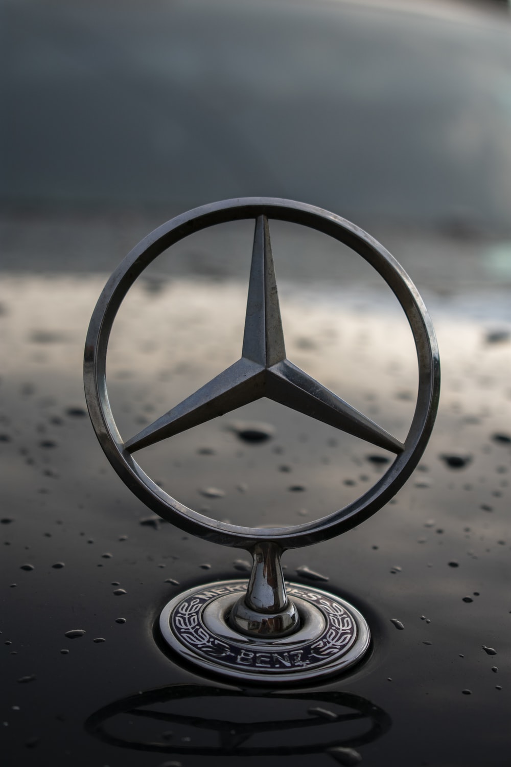 Mercedes Benz Logo Pictures Image