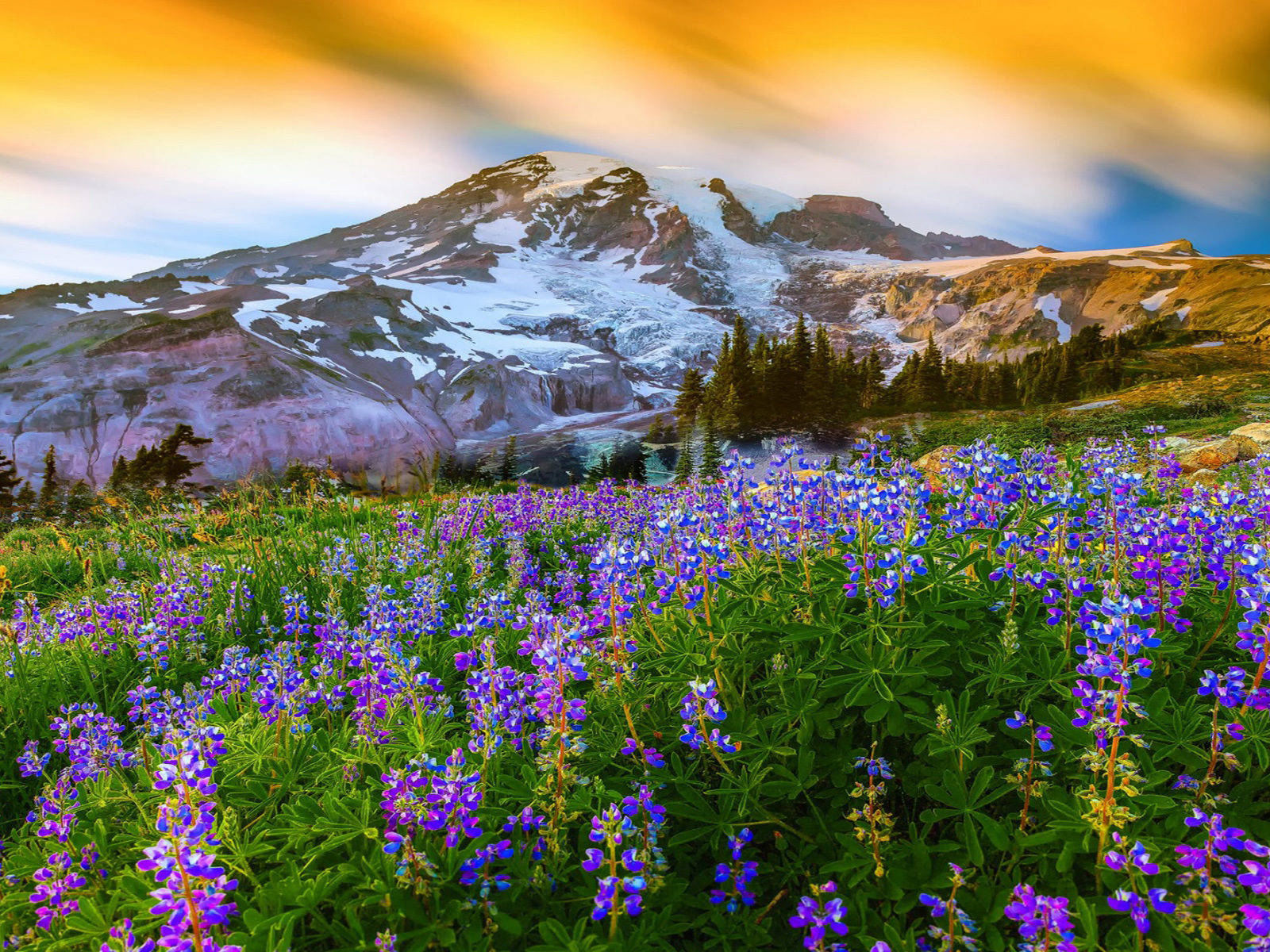 Beautiful Spring Wallpaper