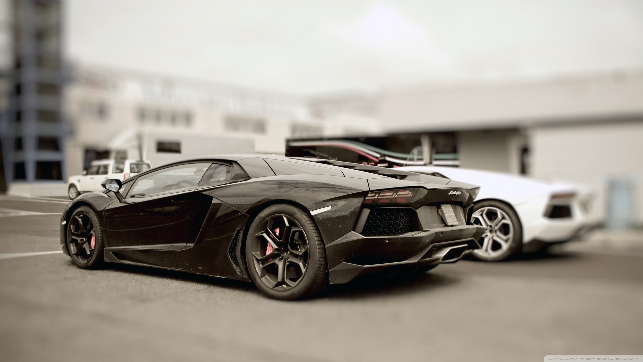 Lamborghini Aventador 4k HD Desktop Wallpaper For Ultra