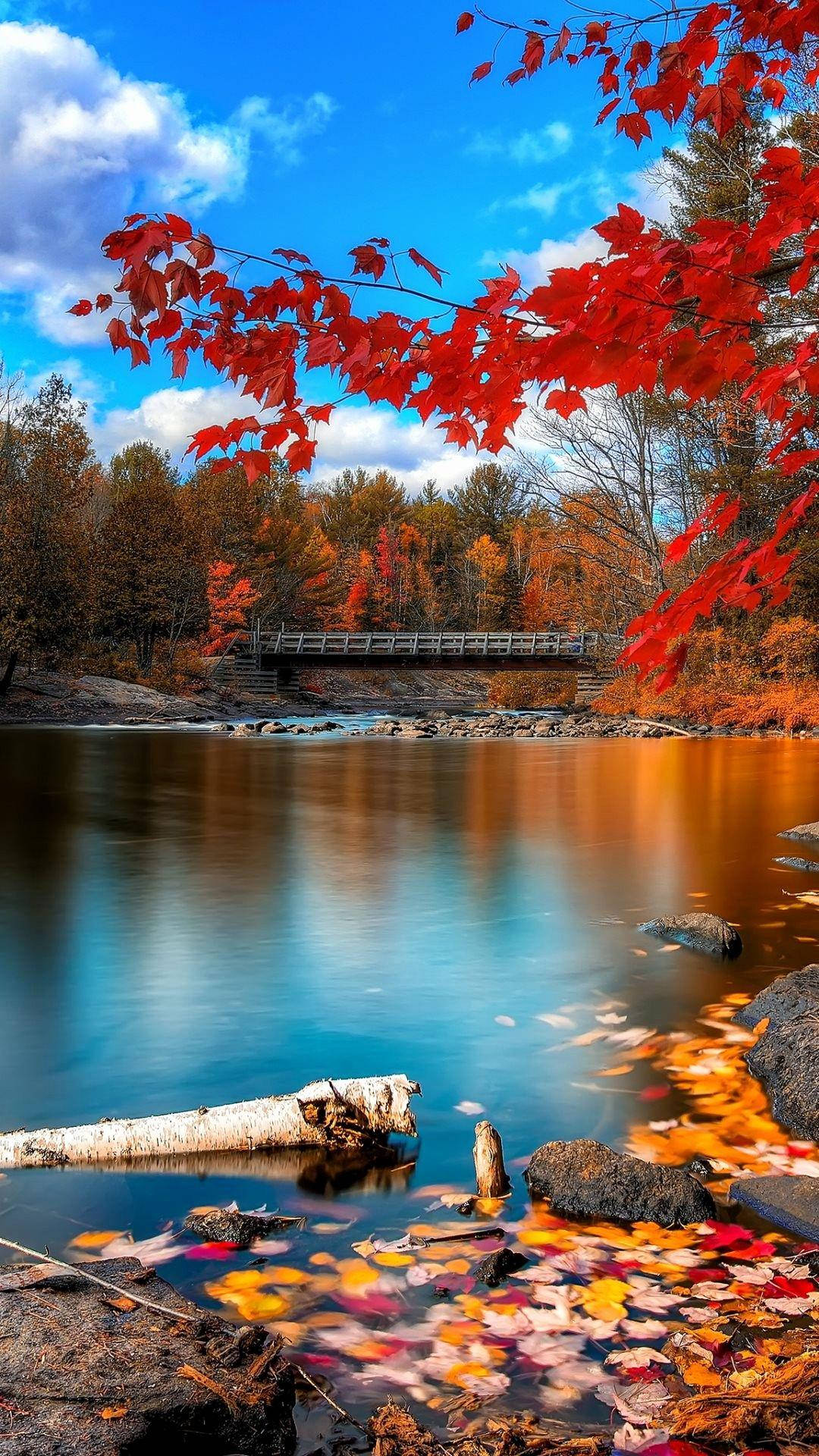 Top Beautiful Phone Wallpaper Full Hd 4k To Use