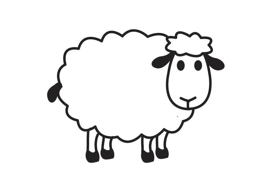 S O Draw A Cartoon Sheep Step Animals Sheeps Wallpaper