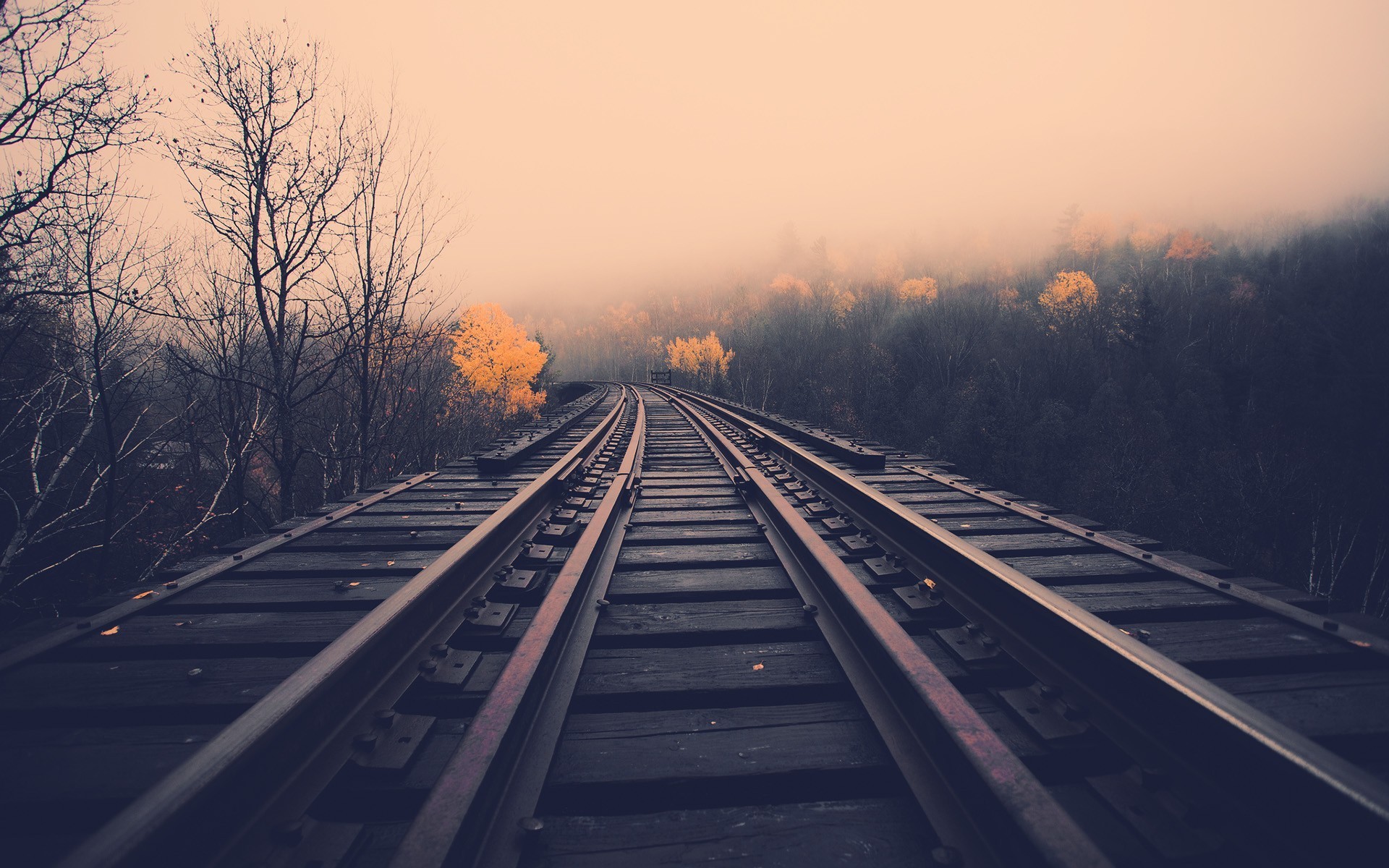 Train Tracks Railroad Stell Metal Trees Landscapes Autumn Fall Haze