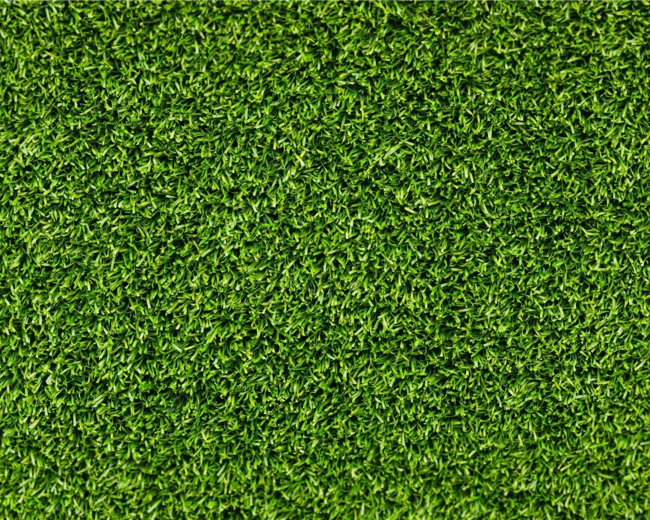 grass textured wallpaper 2015   Grasscloth Wallpaper