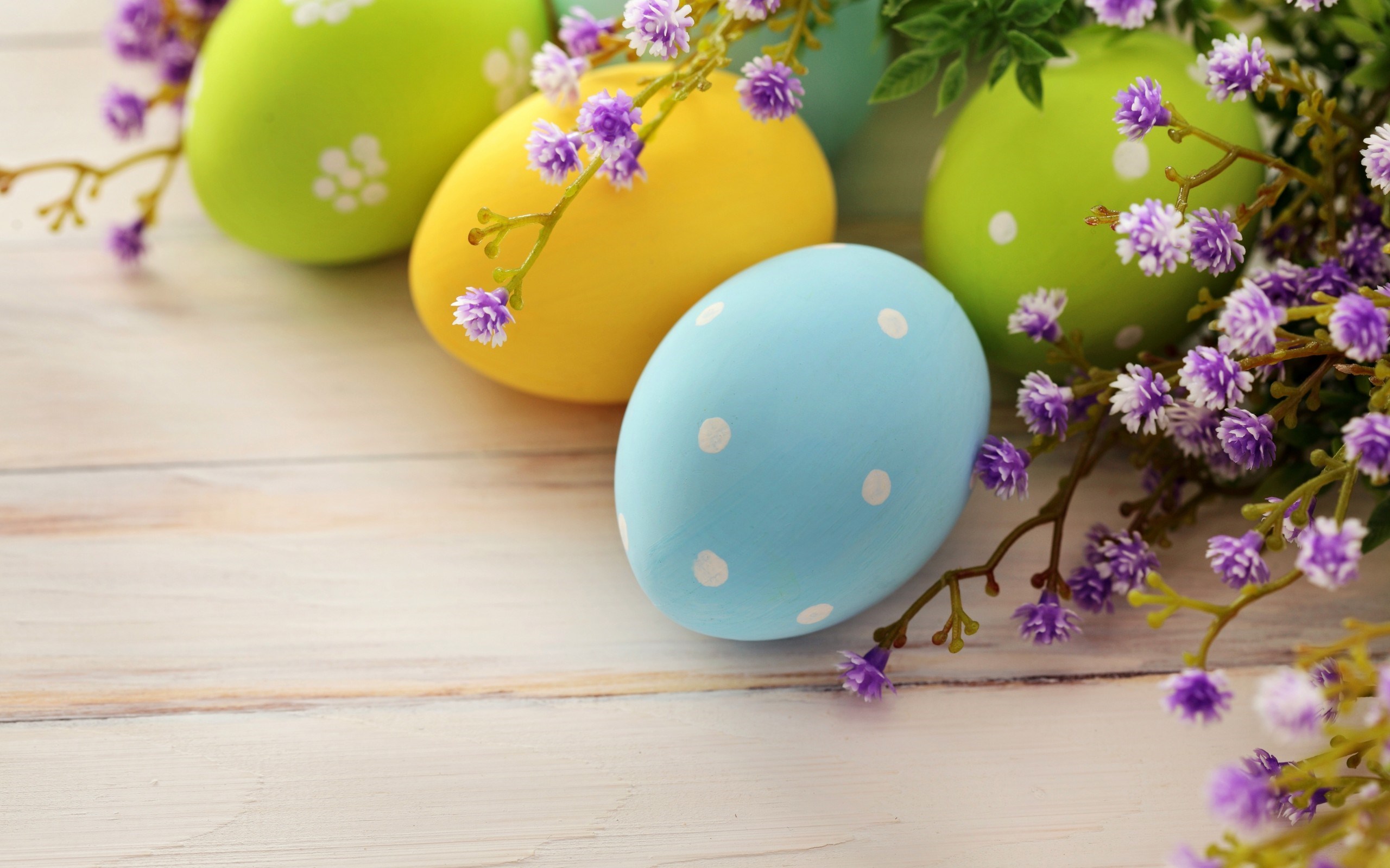 colors easter eggs dots holiday flower wooden hd wallpaper