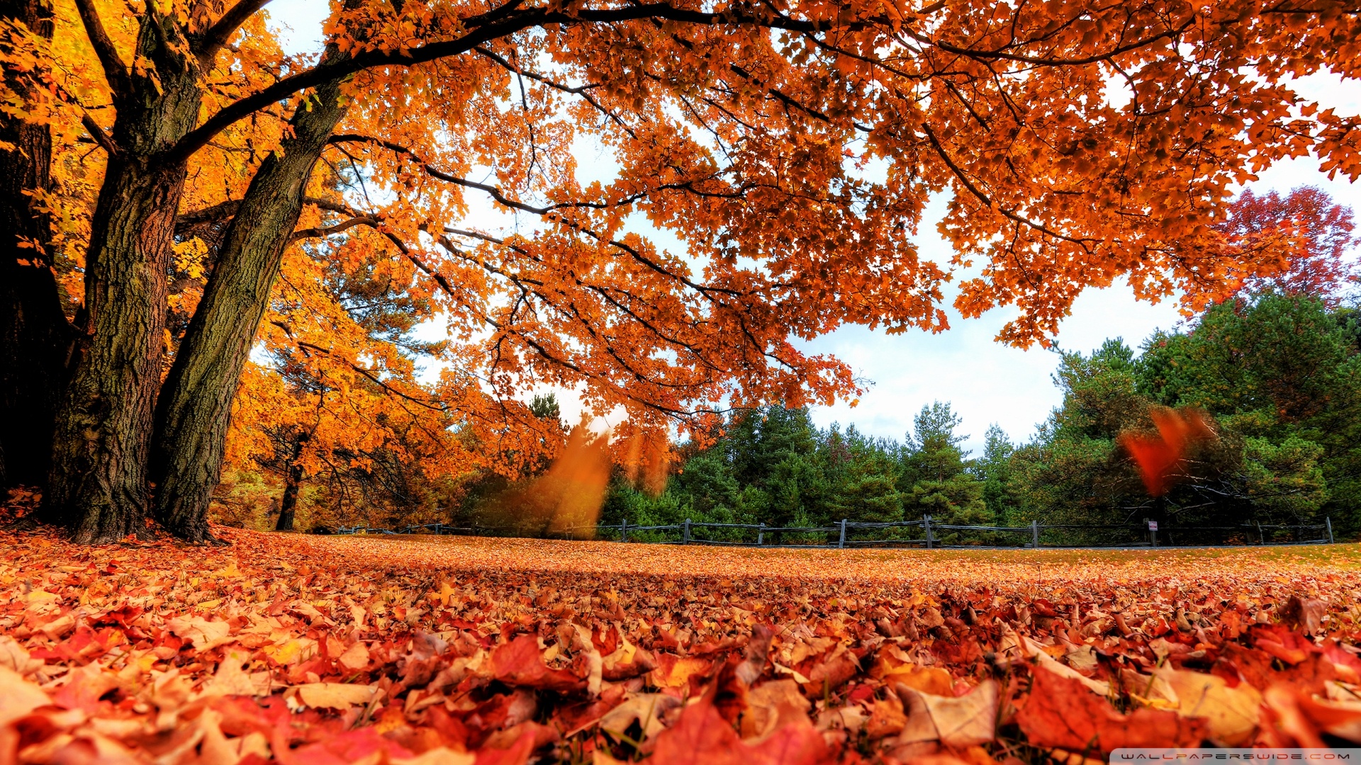 Autumn Country Wallpaper