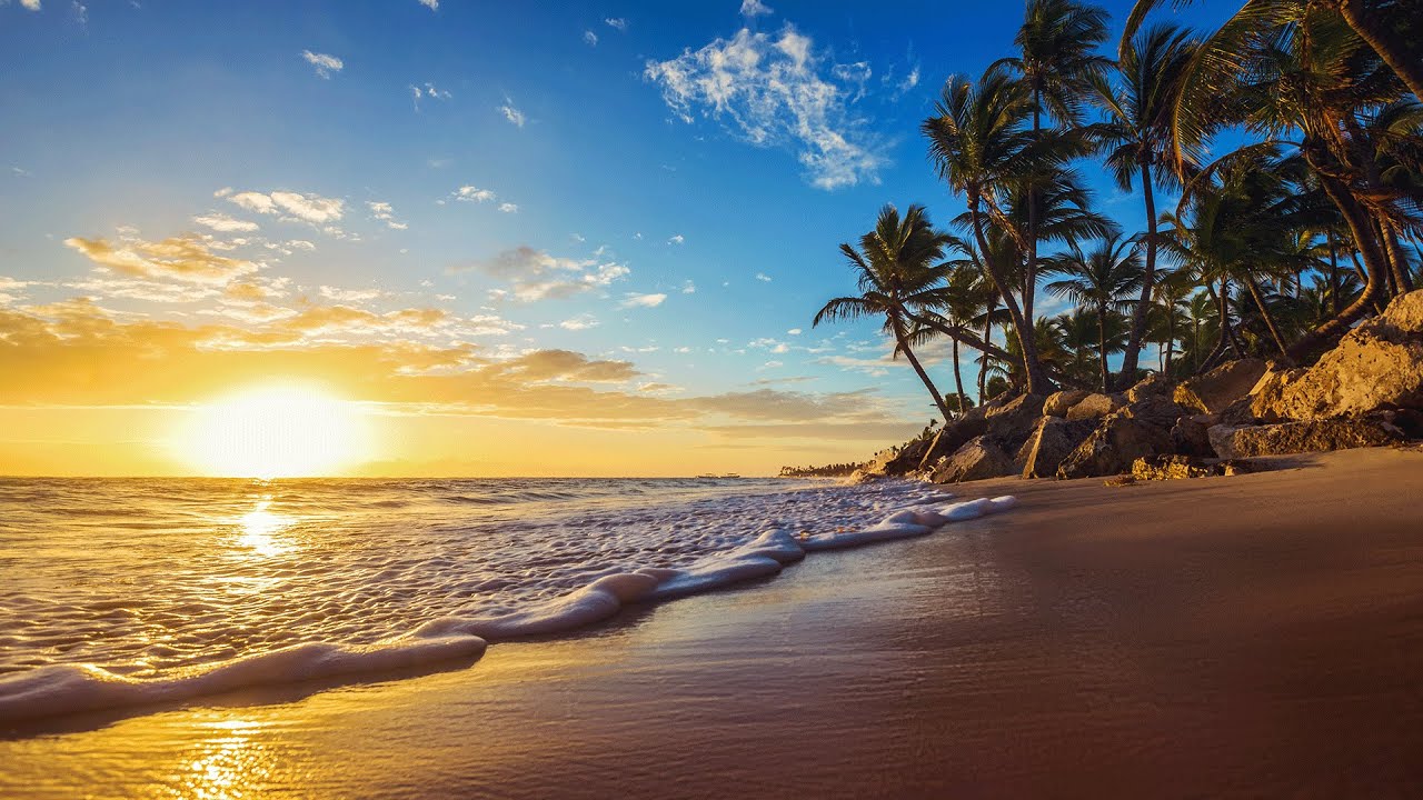  Free Download Calm Background Relaxing Music With Ocean And Bird 