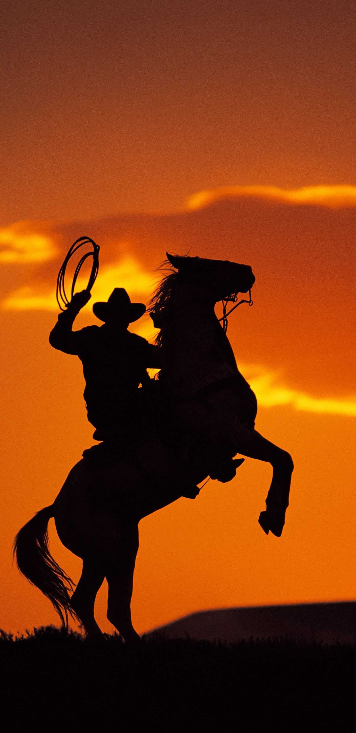 Western Wallpaper Phone Discover More American Cowboy Horse