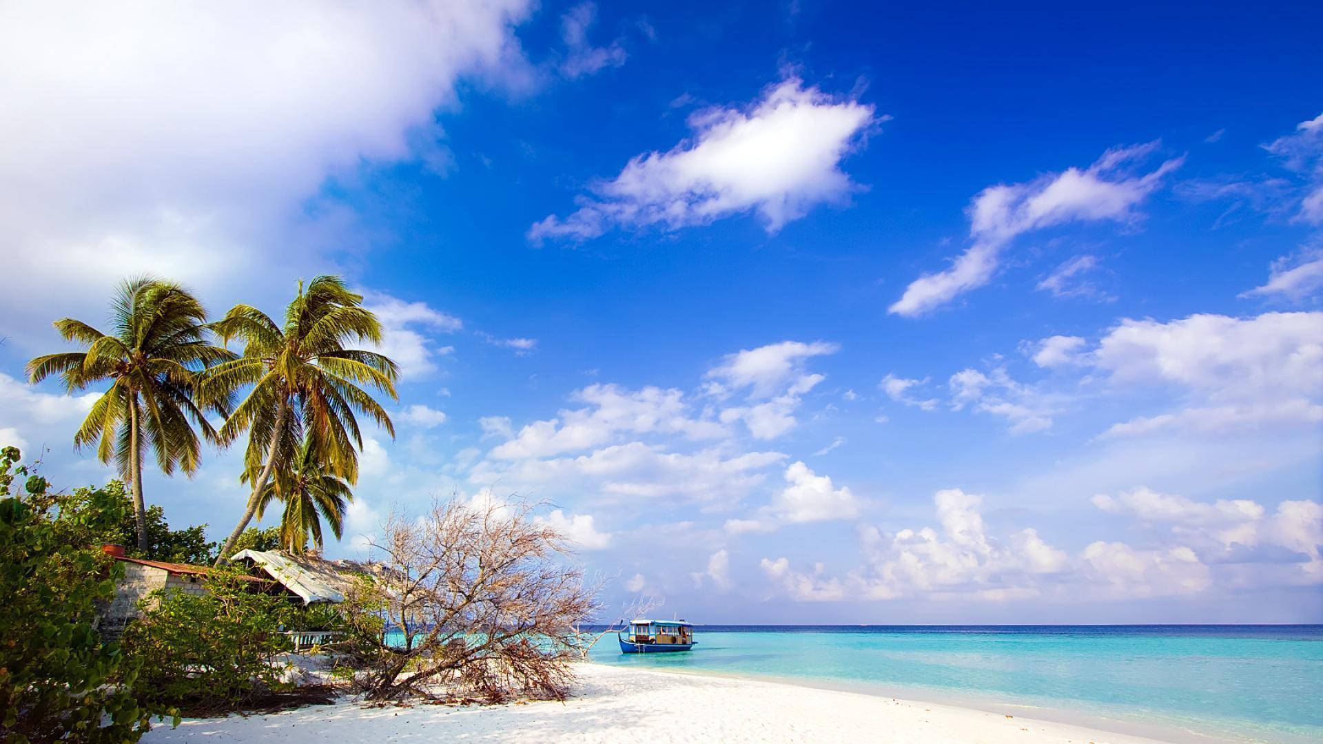 Picturesque Of Jamaica Island In The Caribbean Wallpaper