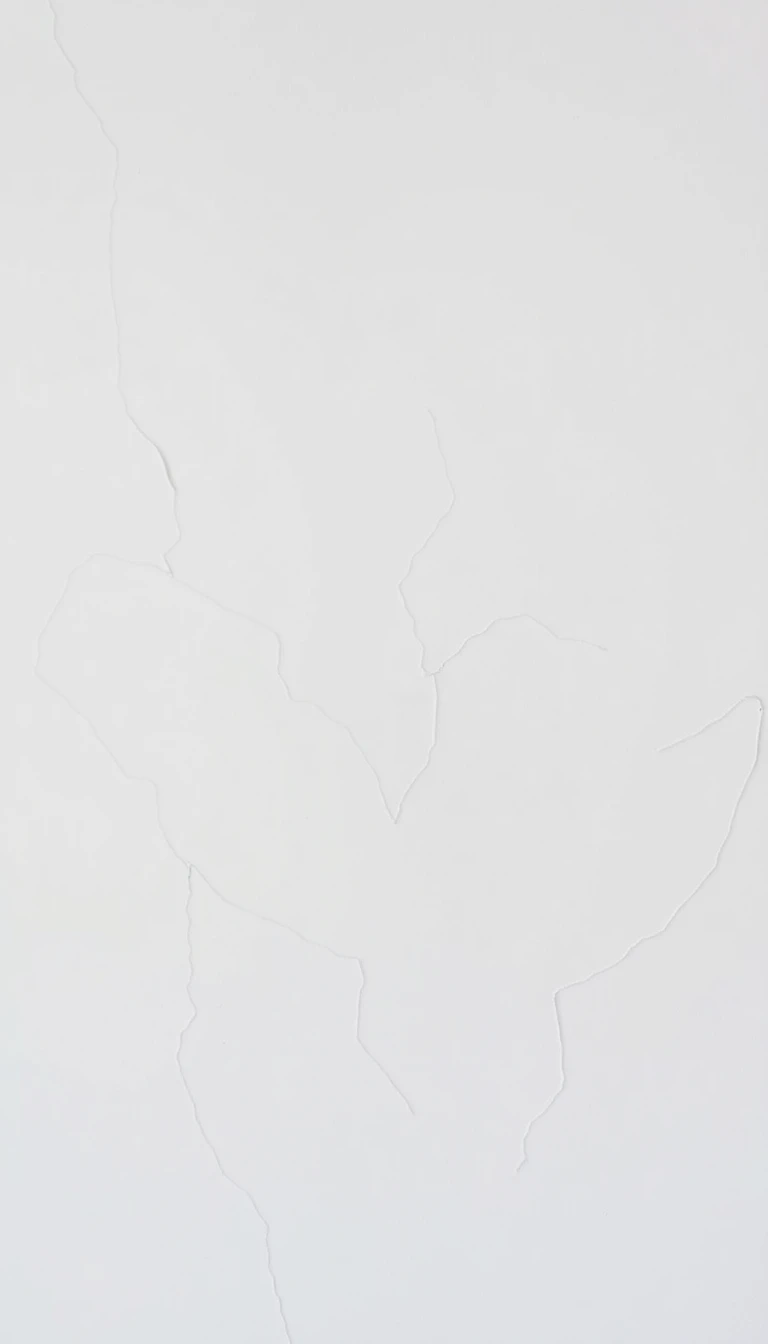 White On Wallpaper