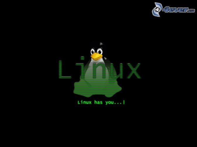 Linux Penguin Change