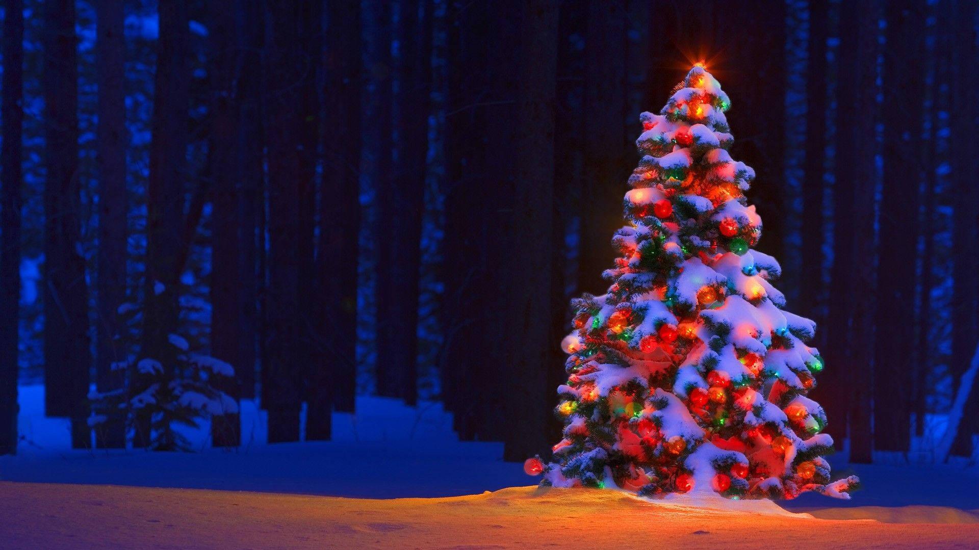 A Colorful Christmas Tree In Winter Wonderland