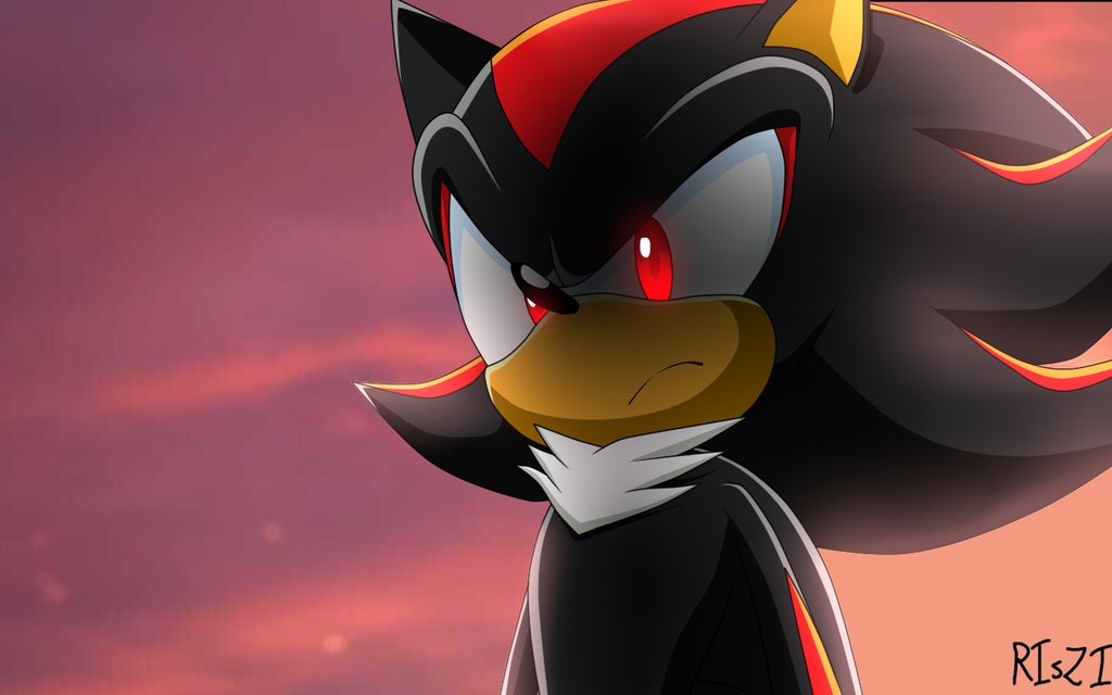 Shadow From Sonic Forces By Riszithetiger