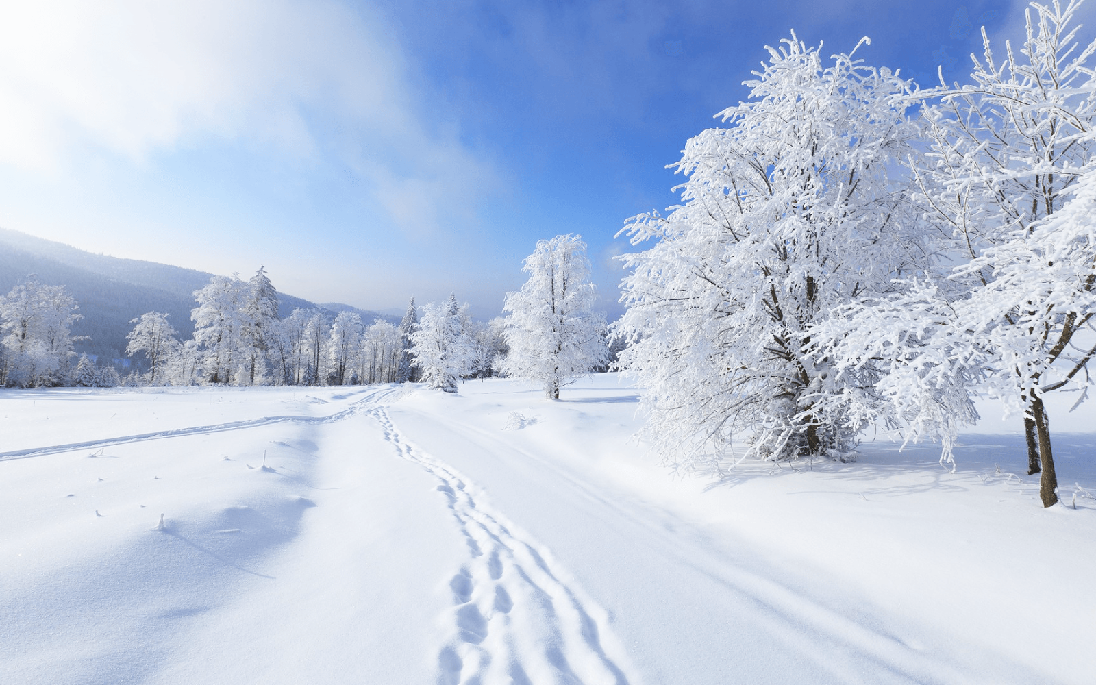 Hintergrundbilder Winterlandschaft