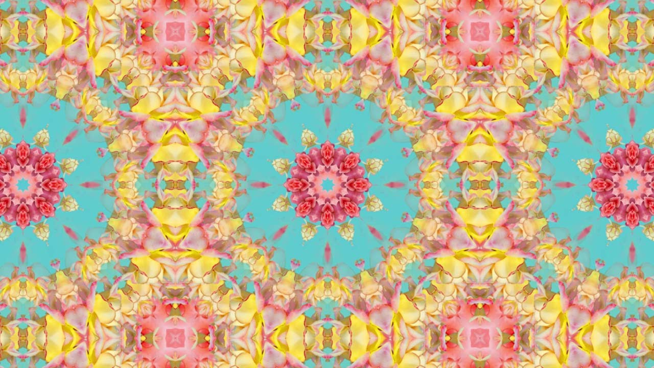 Kaleidoscope Background Loop Vintage Floral Pattern