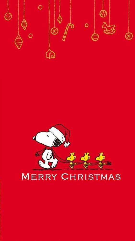Merry Christmas From Snoopy And Woodstock