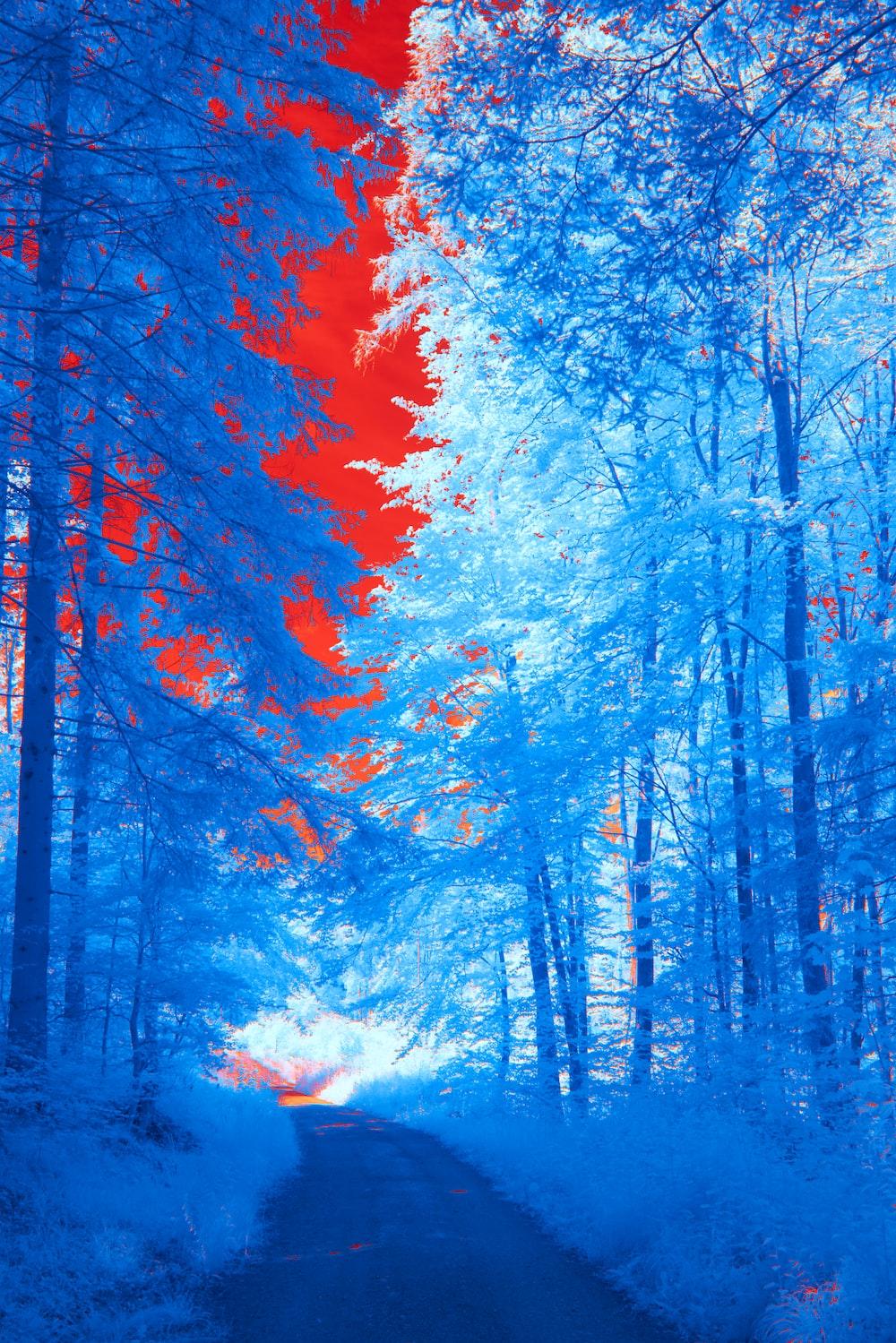 A Painting Of Tree Photo Blue Image