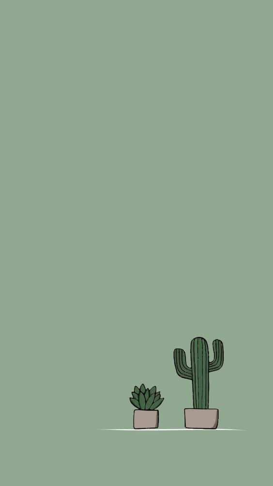 Cactus iPhone Wallpaper