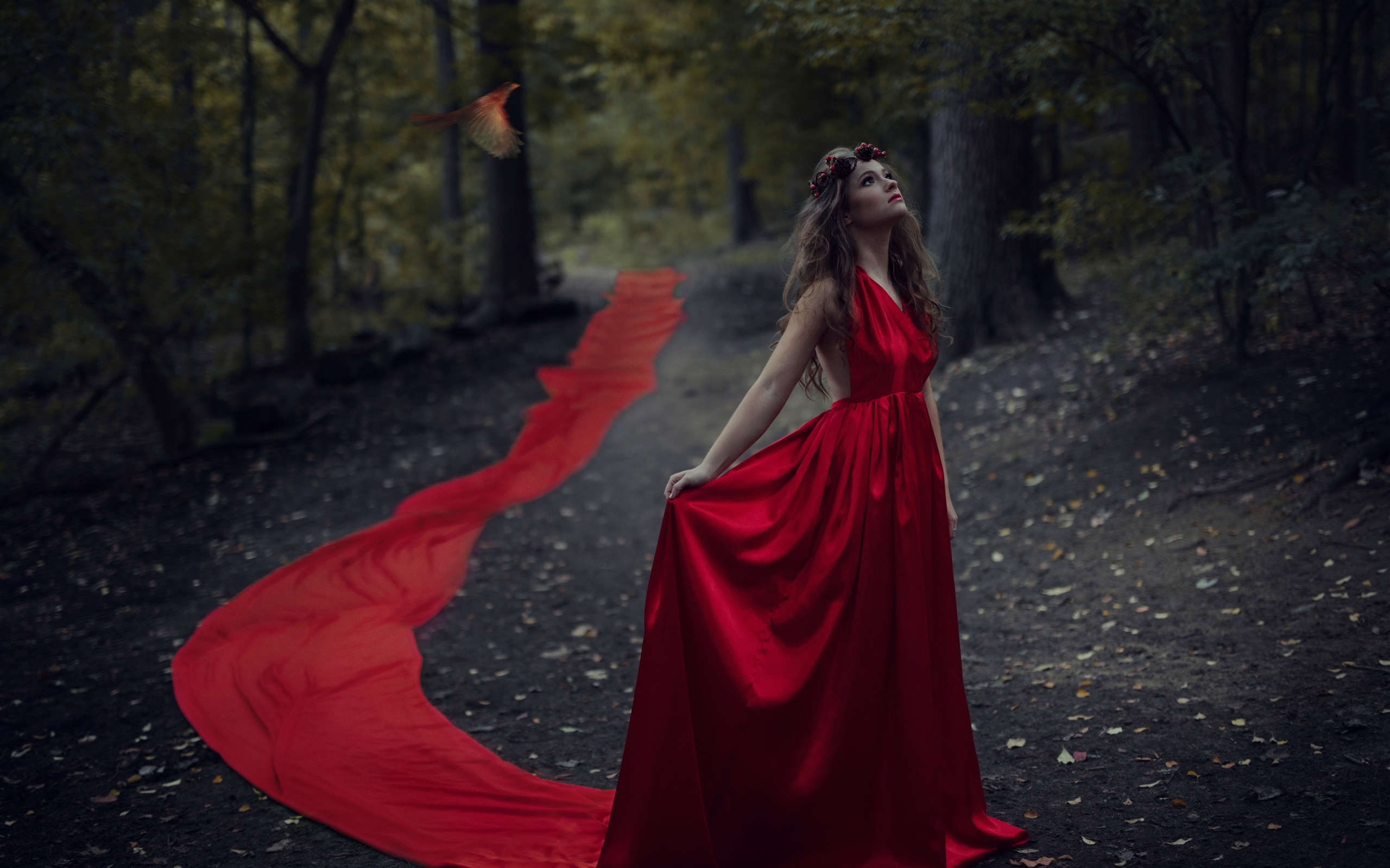 Wallpaper Red Dress Girl In The Forest Bird Dusk HD