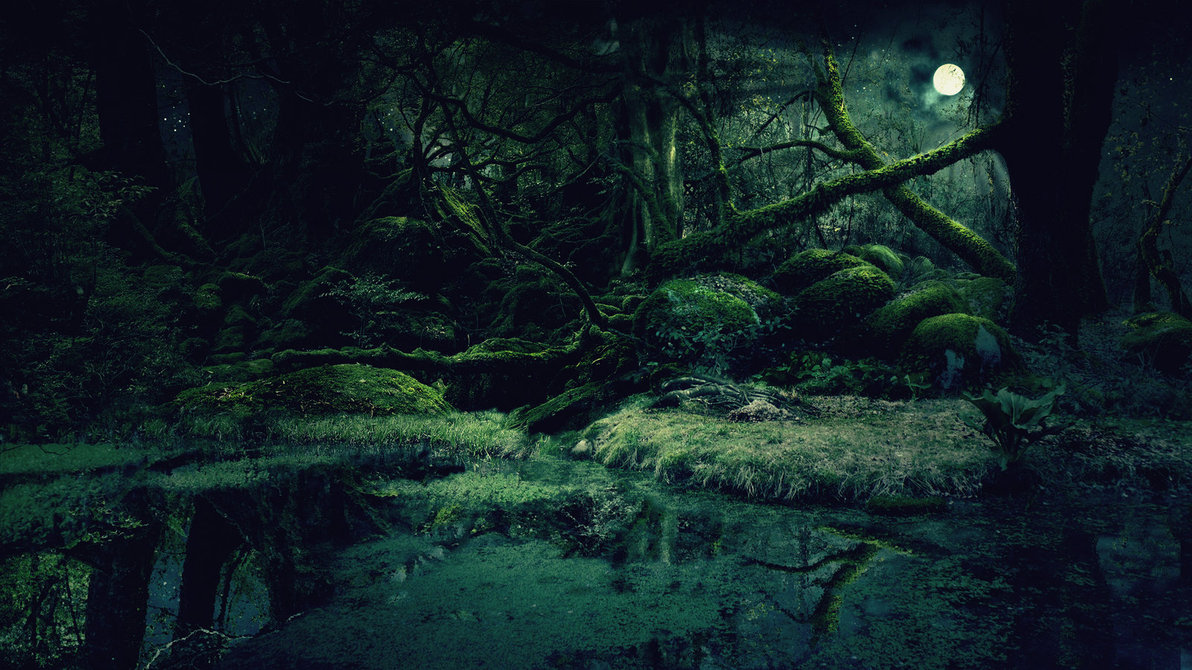 Forest Background By Vashar23