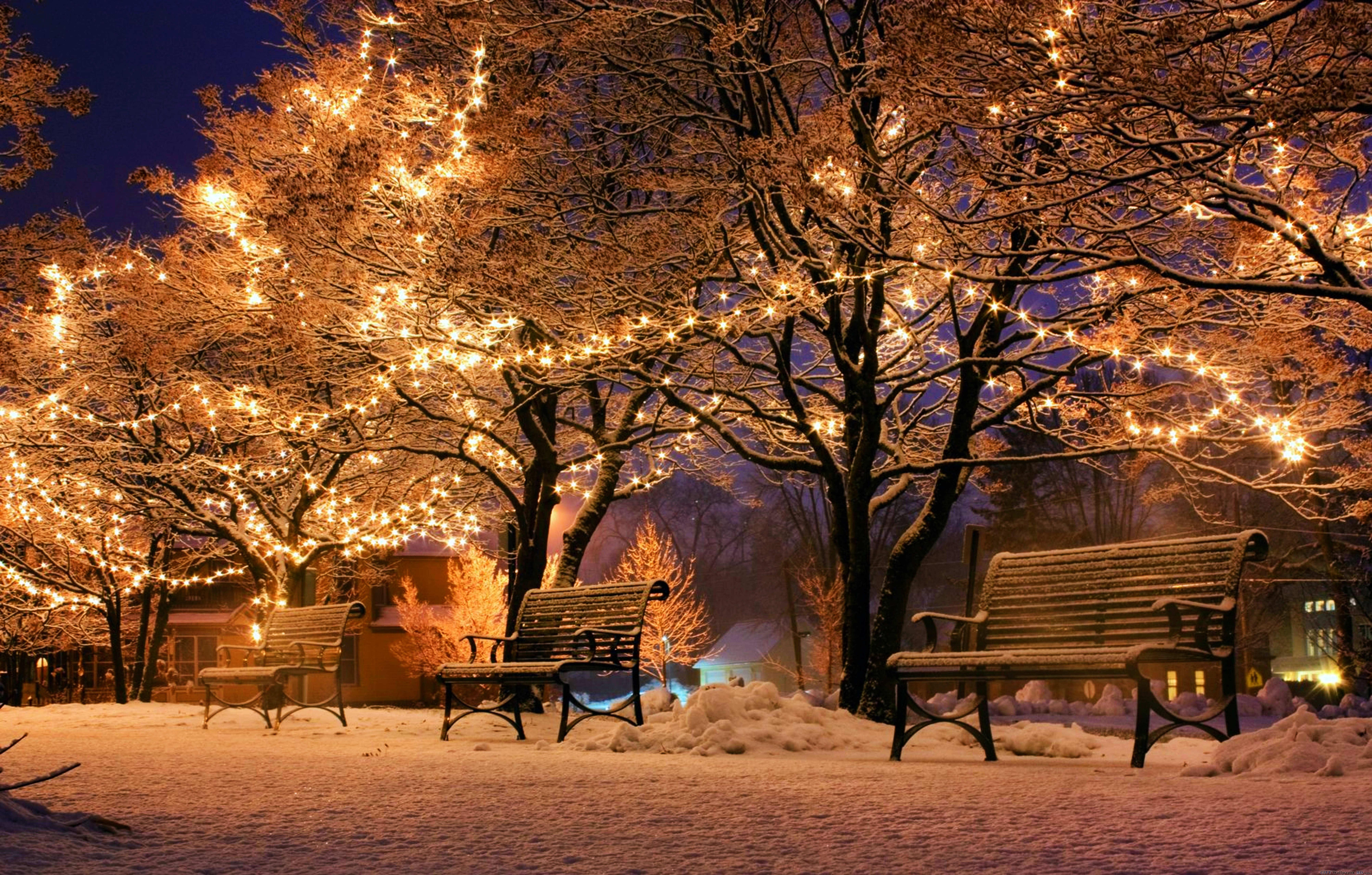 Christmas Park Wallpaper HD World Cities Photos For Android