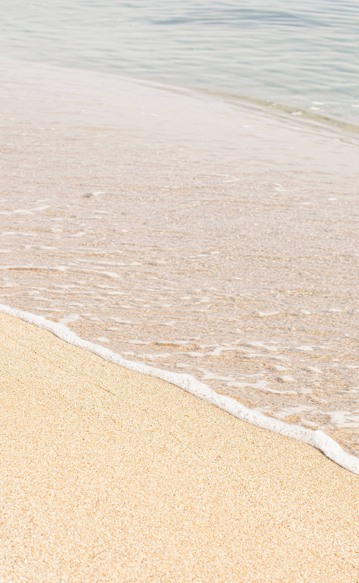 Beige Minimalist Wallpaper