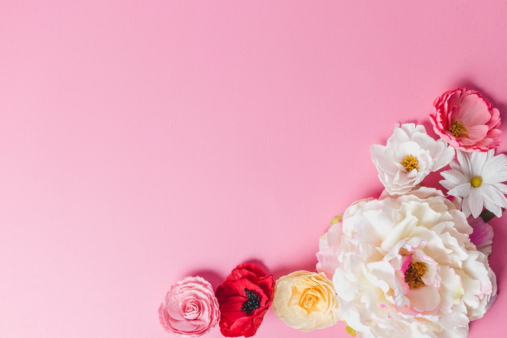 Pink Background Image HD Background