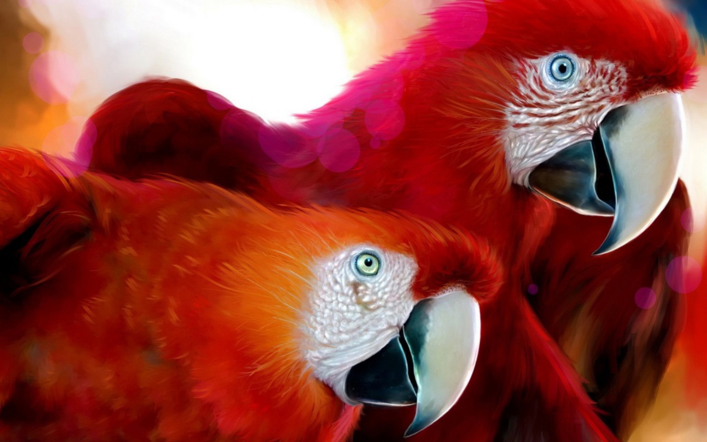 Red Macaws Wallpaper Photo And All