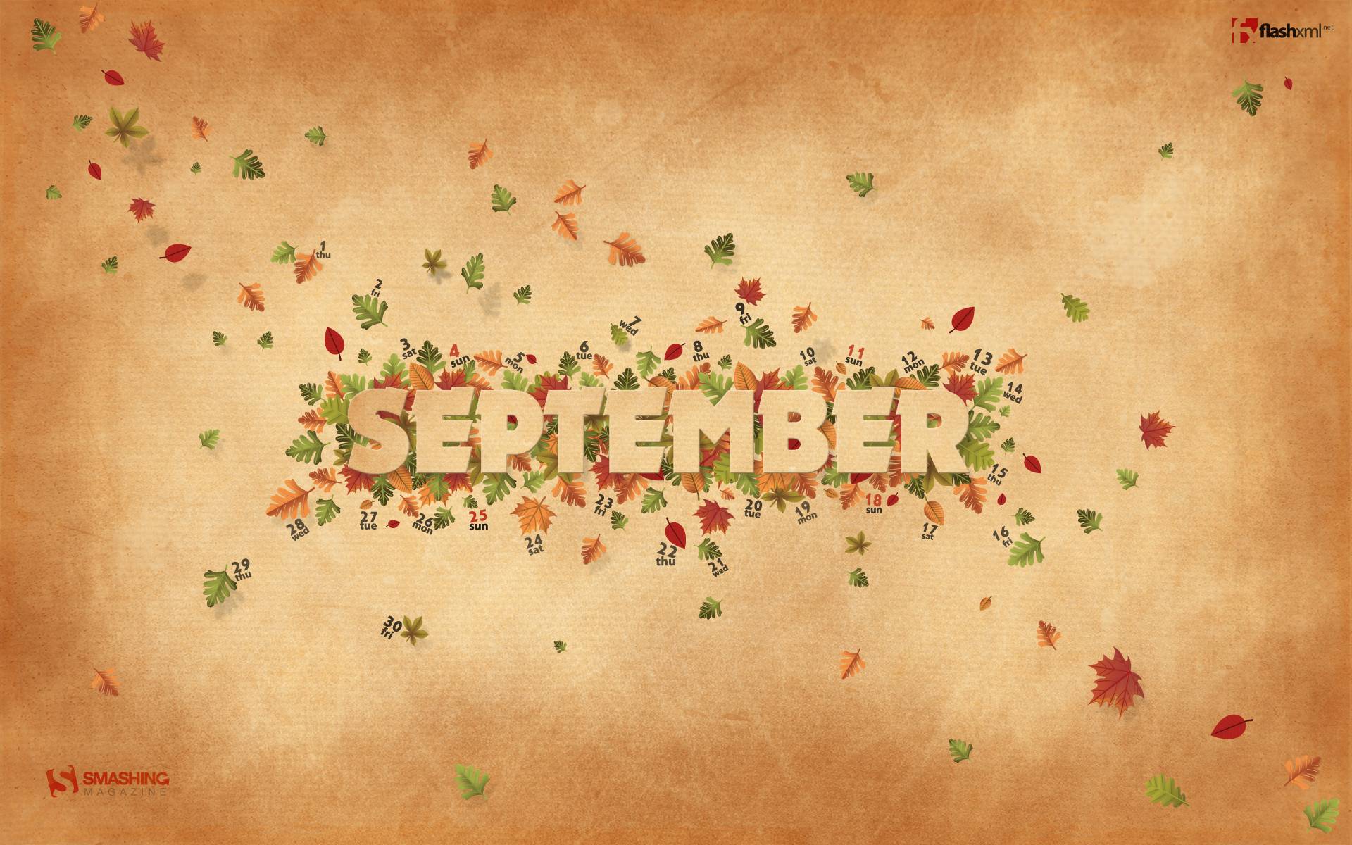 Download the September Fall Leaves Wallpaper September Fall 1920x1200