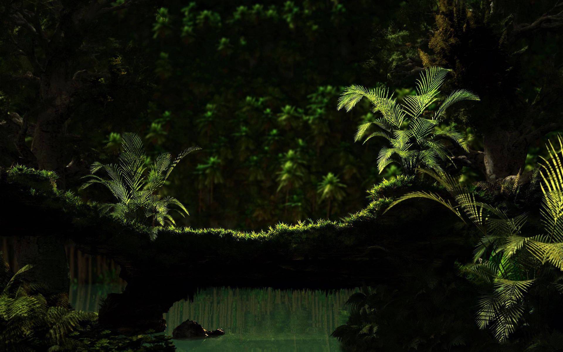 Dark Green Wallpaper