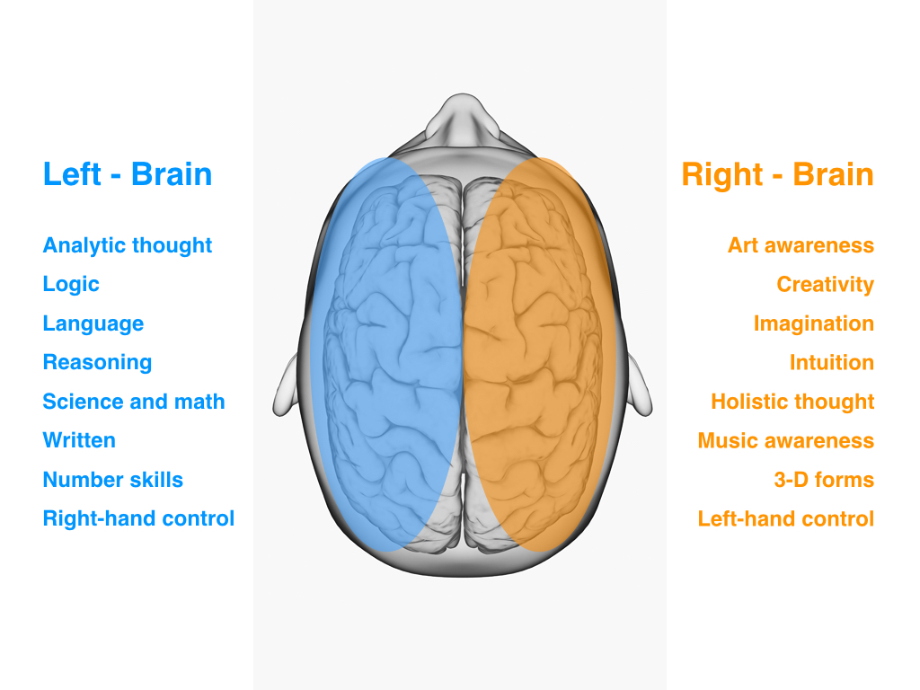 Left Brain Right Wallpaper