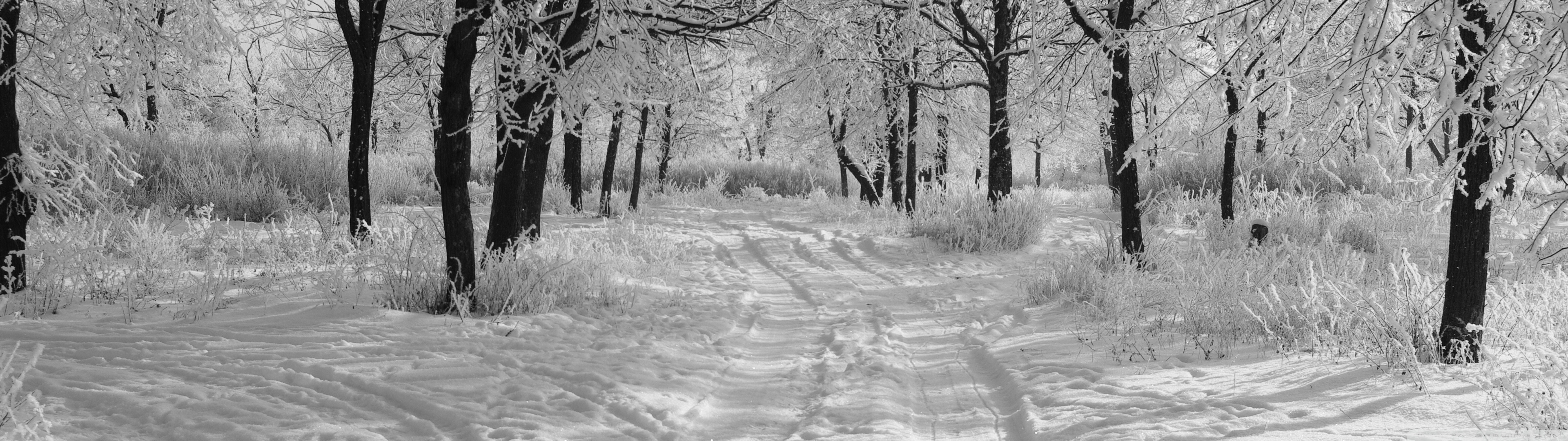 Trails In The Snow Winter Ultra HD Desktop Background Wallpaper