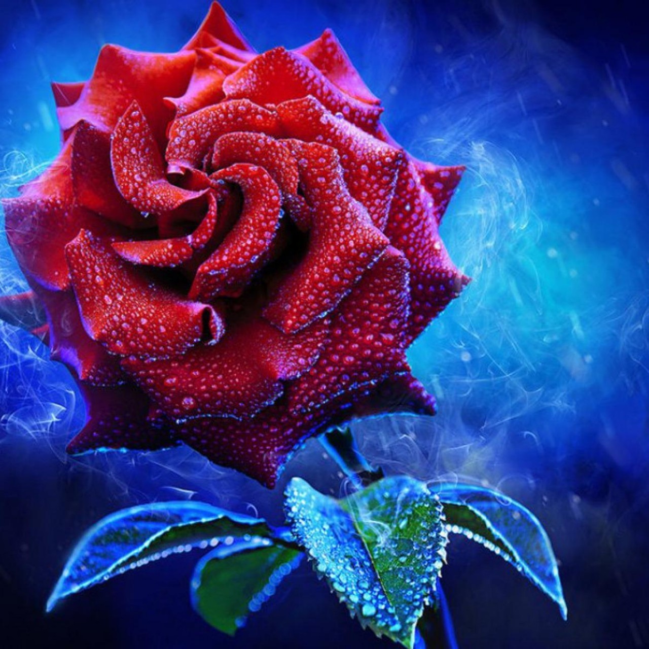 Mystical Rose Wallpaper