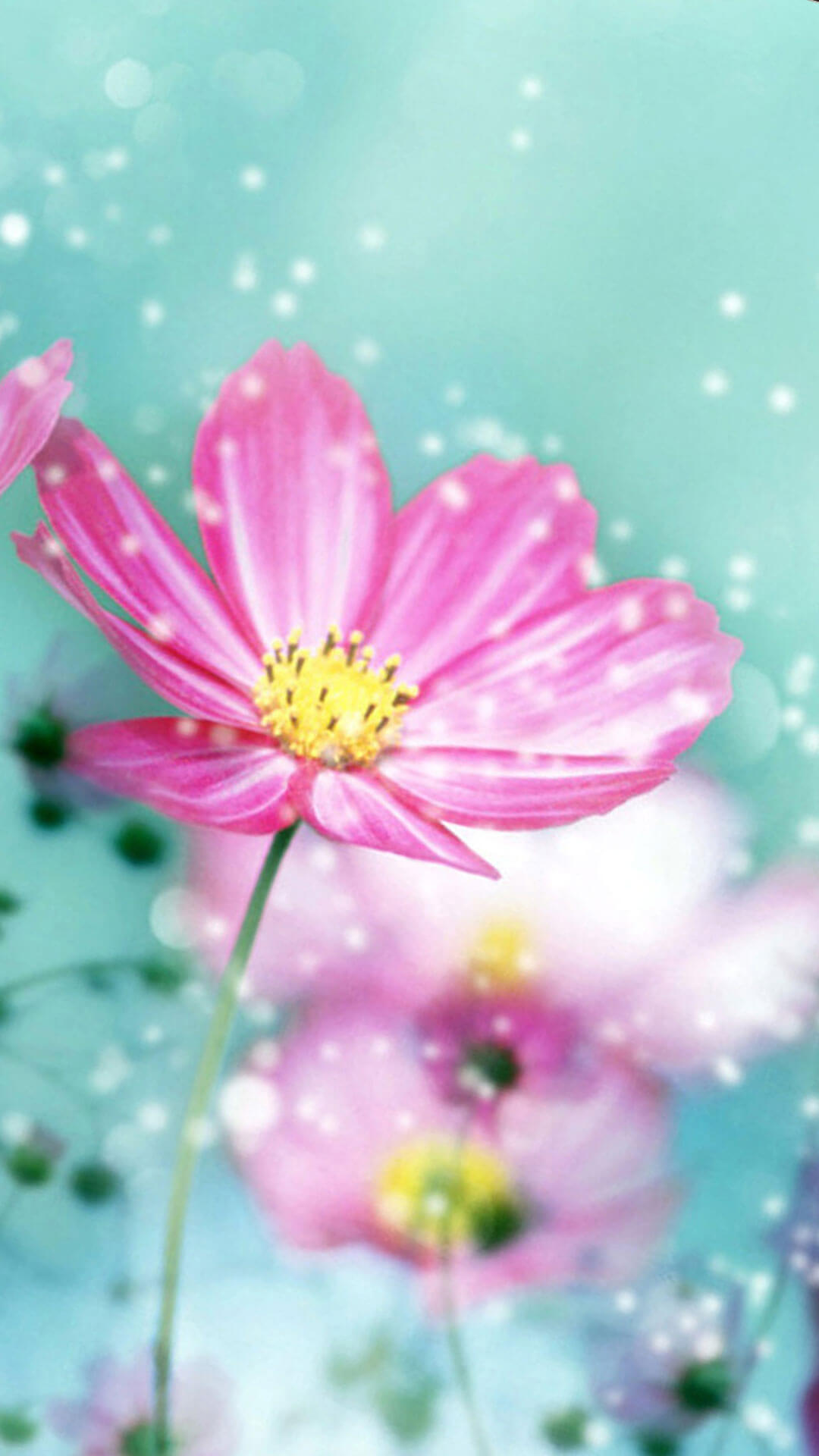 Flower iPhone Wallpaper