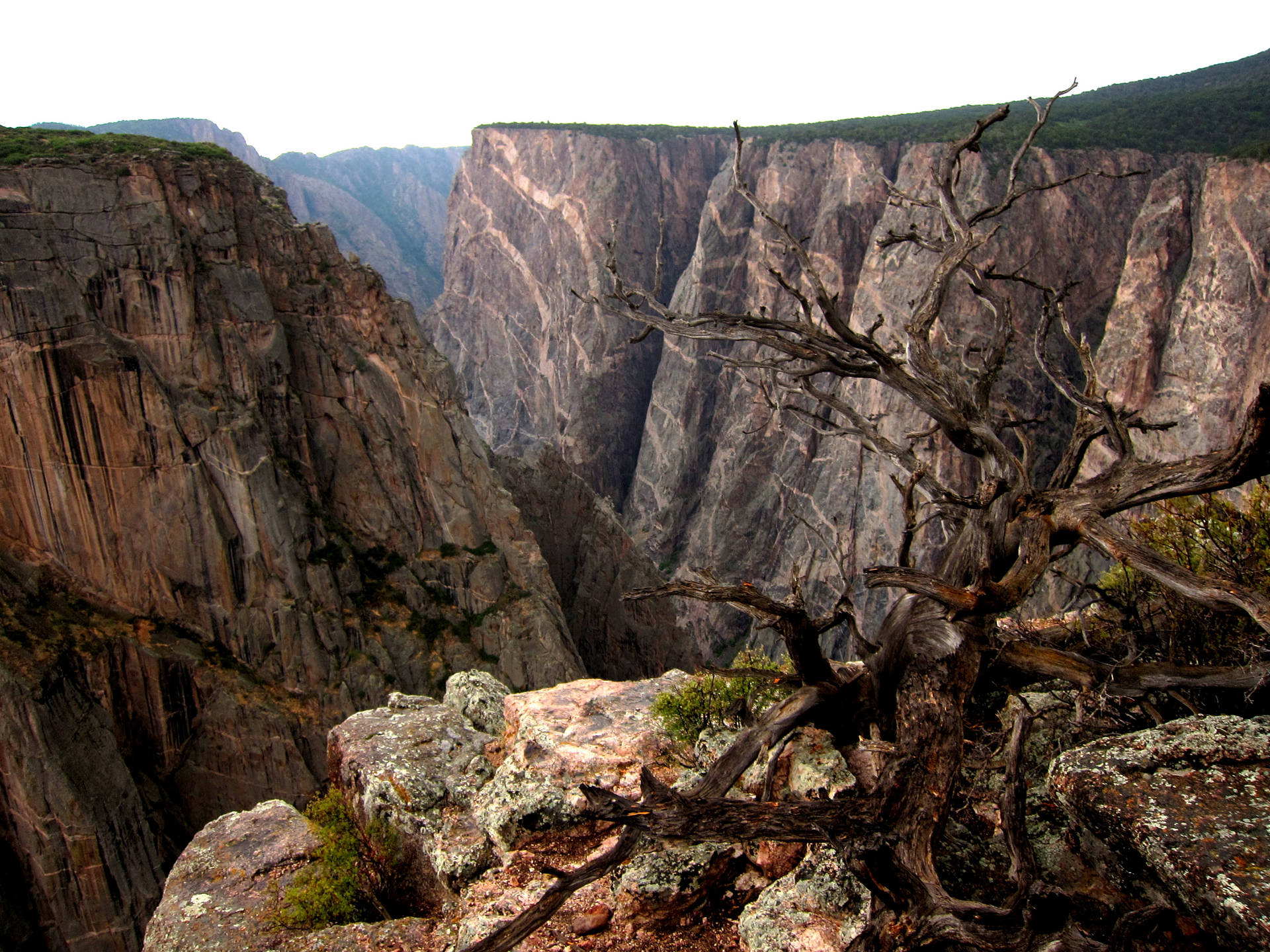 Colorado S Black Canyon Close Up Wallpaper