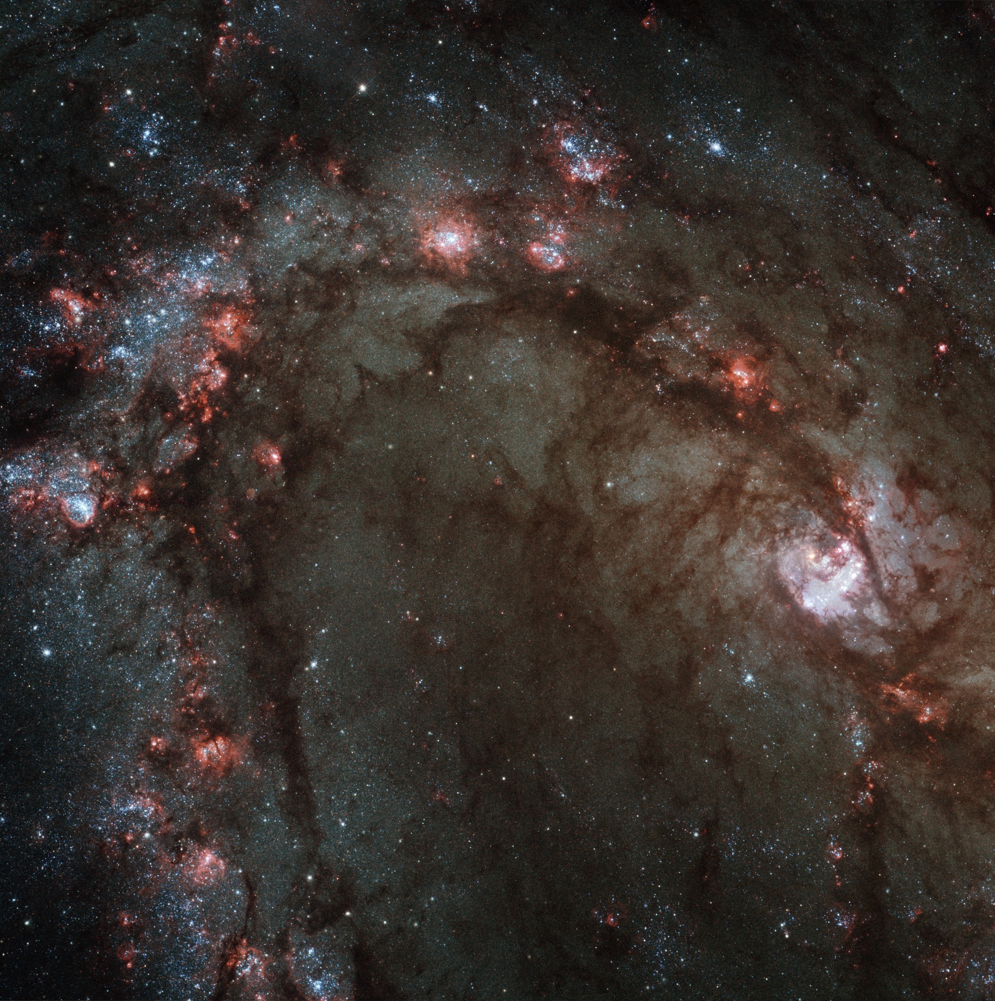 Star Birth In Galaxy M83 Wallpaper Mural Wallsauce Us