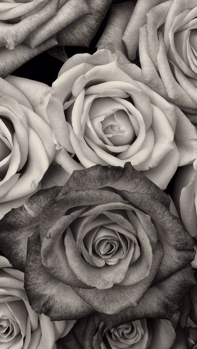 Black And White Floral Wallpaper Background Lock Screen