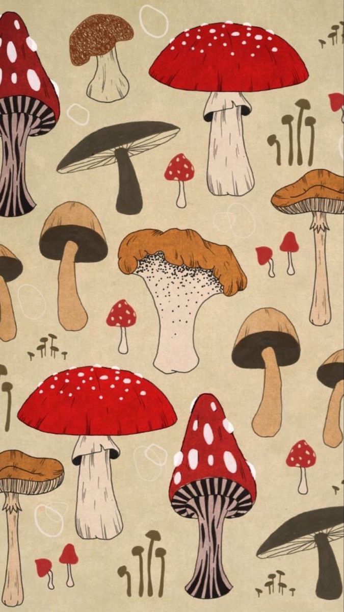 Lexy Smith On Wallpaper Mushroom Drawing Art