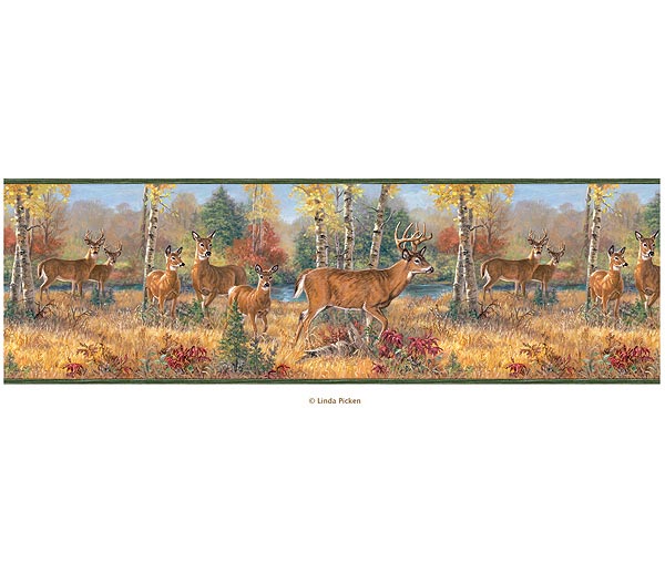 Free download sports wallpaper borders Discount Wallpaper Borders